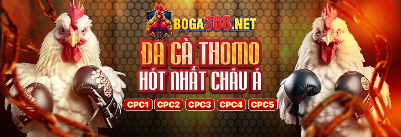 Đá Gà Trực Tuyến Sôi Động tại Pho88